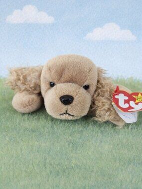 Ty 3 FOR $15 Beanie Baby Cocker Spaniel Named SPUNKY Light Brown Curly Ears NWT